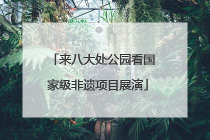 来八大处公园看国家级非遗项目展演