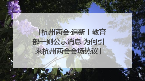 杭州两会·追新丨教育部一则公示消息 为何引来杭州两会会场热议