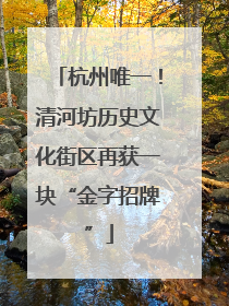 杭州唯一！清河坊历史文化街区再获一块“金字招牌”