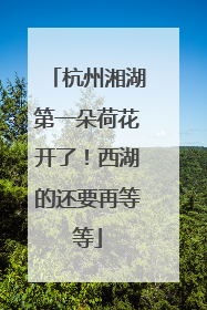杭州湘湖第一朵荷花开了！西湖的还要再等等