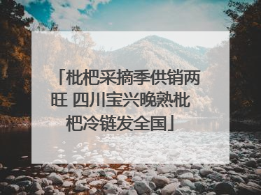 枇杷采摘季供销两旺 四川宝兴晚熟枇杷冷链发全国