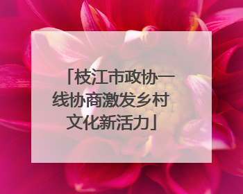 枝江市政协一线协商激发乡村文化新活力