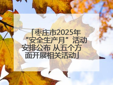 枣庄市2025年“安全生产月”活动安排公布 从五个方面开展相关活动