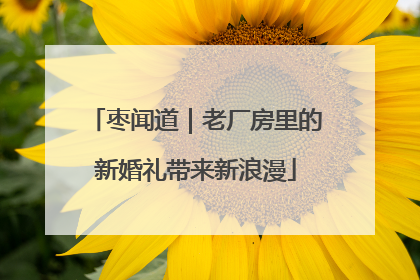 枣闻道｜老厂房里的新婚礼带来新浪漫