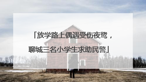 放学路上偶遇受伤夜鹭，聊城三名小学生求助民警