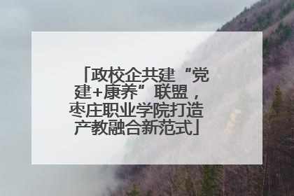 政校企共建“党建+康养”联盟，枣庄职业学院打造产教融合新范式