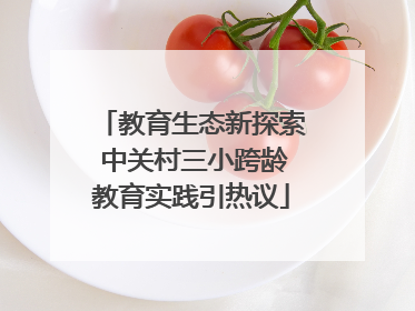 教育生态新探索 中关村三小跨龄教育实践引热议
