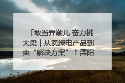 敢当弄潮儿 奋力挑大梁｜从卖绿电产品到卖“解决方案”！溧阳立足产业优势建成五大微电网示范项目