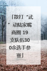 散打“武”动陆家嘴商圈 19支队伍300余选手参赛