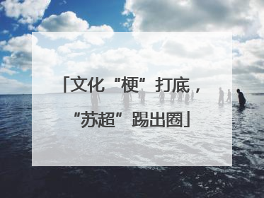 文化“梗”打底，“苏超”踢出圈