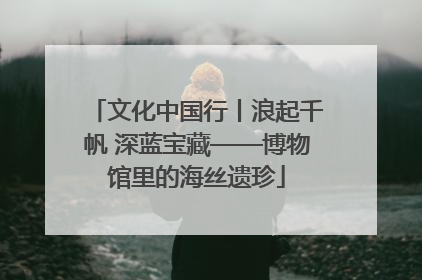 文化中国行丨浪起千帆 深蓝宝藏——博物馆里的海丝遗珍