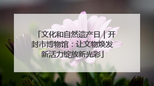 文化和自然遗产日｜开封市博物馆：让文物焕发新活力绽放新光彩