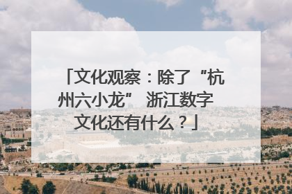 文化观察：除了“杭州六小龙” 浙江数字文化还有什么？