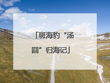 斑海豹“汤圆”归海记