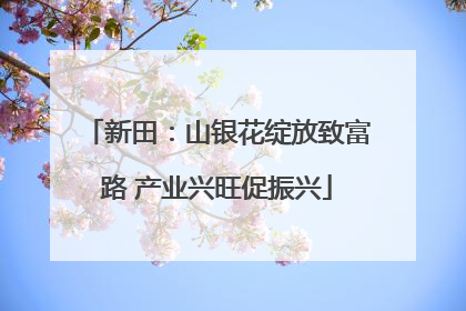新田：山银花绽放致富路 产业兴旺促振兴
