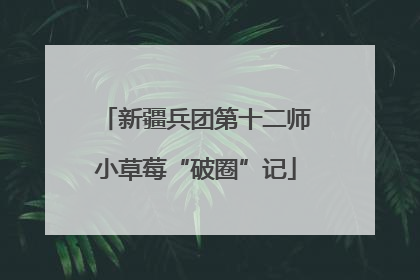 新疆兵团第十二师小草莓“破圈”记