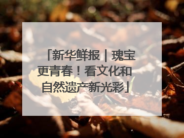 新华鲜报｜瑰宝更青春！看文化和自然遗产新光彩
