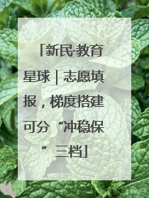 新民·教育星球｜志愿填报，梯度搭建可分“冲稳保”三档