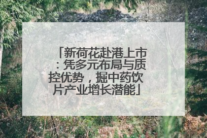 新荷花赴港上市：凭多元布局与质控优势，掘中药饮片产业增长潜能