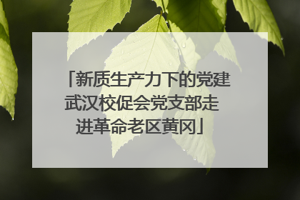 新质生产力下的党建 武汉校促会党支部走进革命老区黄冈