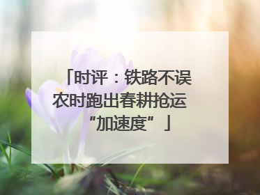 时评：铁路不误农时跑出春耕抢运“加速度”