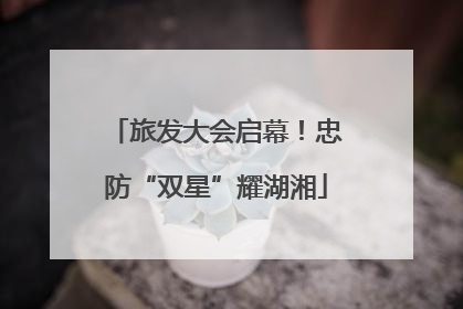 旅发大会启幕！忠防“双星”耀湖湘