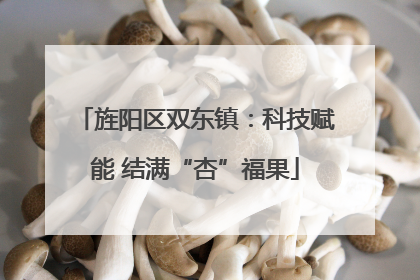旌阳区双东镇：科技赋能 结满“杏”福果