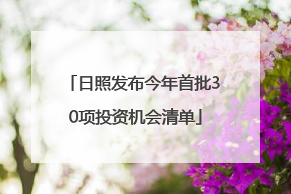 日照发布今年首批30项投资机会清单