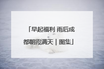早起福利 雨后成都朝霞满天｜图集