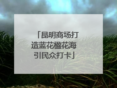 昆明商场打造蓝花楹花海引民众打卡