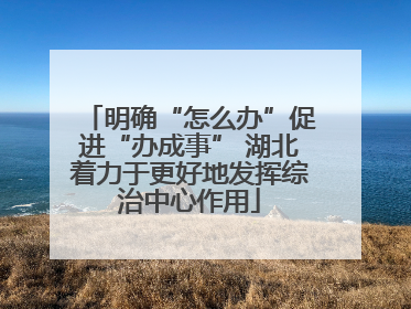 明确“怎么办”促进“办成事” 湖北着力于更好地发挥综治中心作用