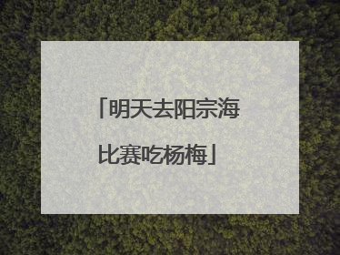 明天去阳宗海比赛吃杨梅