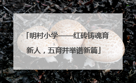明村小学——红砖铸魂育新人，五育并举谱新篇