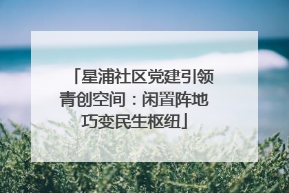 星浦社区党建引领青创空间：闲置阵地巧变民生枢纽
