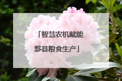 智慧农机赋能黟县粮食生产