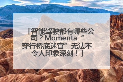 智能驾驶都有哪些公司？Momenta“穿行桥底迷宫”无法不令人印象深刻！
