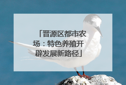 晋源区都市农场：特色养殖开辟发展新路径