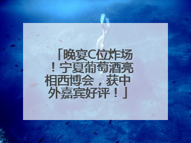 晚宴C位炸场！宁夏葡萄酒亮相西博会，获中外嘉宾好评！