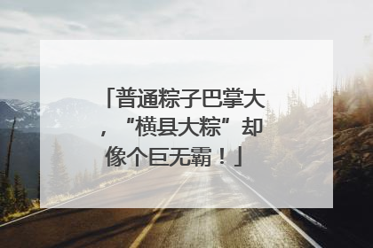 普通粽子巴掌大，“横县大粽”却像个巨无霸！