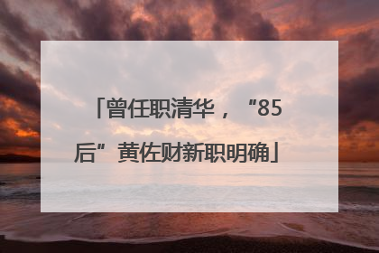 曾任职清华，“85后”黄佐财新职明确