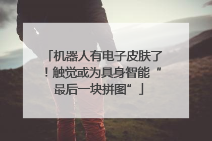 机器人有电子皮肤了！触觉或为具身智能“最后一块拼图”