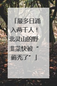 最多日涌入两千人！北灵山的野韭菜快被“薅秃了”