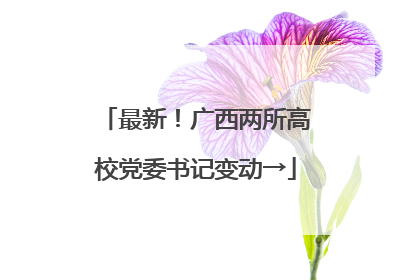 最新！广西两所高校党委书记变动→