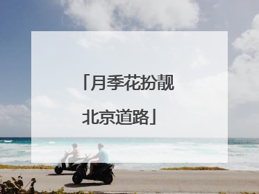月季花扮靓北京道路