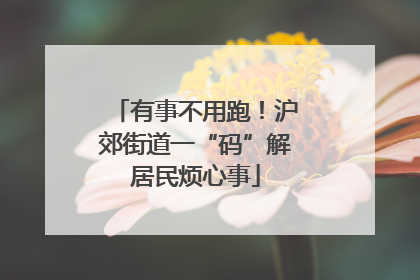 有事不用跑！沪郊街道一“码”解居民烦心事