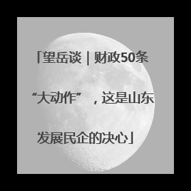 望岳谈｜财政50条“大动作”，这是山东发展民企的决心