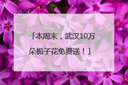 本周末，武汉10万朵栀子花免费送！