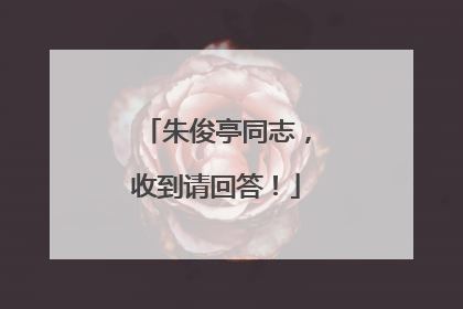 朱俊亭同志，收到请回答！