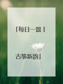 每日一景丨 古筝新韵
