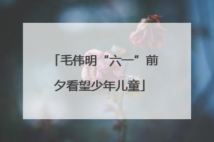 毛伟明“六一”前夕看望少年儿童